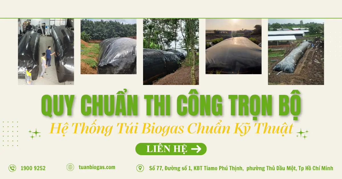 Quy Chuẩn Thi Công Trọn Bộ Hệ Thống Túi Biogas Chuẩn Kỹ Thuật: Từ Hố Ủ Đến Bếp Nấu